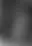 @onamissionary.bsky.social background blur