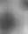 @onamissionary.bsky.social background blur