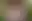 @cumslutlilly.com background blur