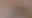 @secretomio.com background blur