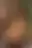 @sexypinups.bsky.social background blur