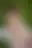 @sexypinups.bsky.social background blur