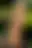 @sexypinups.bsky.social background blur