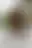@sexypinups.bsky.social background blur