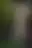 @tullageback.bsky.social background blur