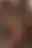 @artfulltodger.bsky.social background blur
