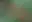 @tasha510.bsky.social background blur