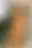 @tasha510.bsky.social background blur