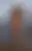 @tasha510.bsky.social background blur