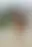 @tasha510.bsky.social background blur