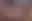 @tasha510.bsky.social background blur