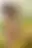 @tasha510.bsky.social background blur