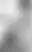@tasha510.bsky.social background blur