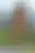 @tasha510.bsky.social background blur