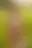 @eroticart.bsky.social background blur