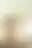 @thepriapicknave.bsky.social background blur