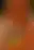 @thepriapicknave.bsky.social background blur