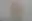 @thepriapicknave.bsky.social background blur