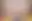 @thepriapicknave.bsky.social background blur