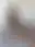 @thepriapicknave.bsky.social background blur