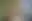 @thepriapicknave.bsky.social background blur