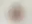 @thepriapicknave.bsky.social background blur