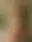 @thepriapicknave.bsky.social background blur
