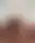 @thepriapicknave.bsky.social background blur