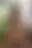 @thepriapicknave.bsky.social background blur