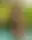 @thepriapicknave.bsky.social background blur