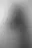 @thepriapicknave.bsky.social background blur