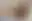@thepriapicknave.bsky.social background blur