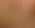 @thepriapicknave.bsky.social background blur