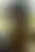 @machomedia.bsky.social background blur