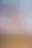 @theysaidnothing.bsky.social background blur