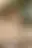 @theysaidnothing.bsky.social background blur