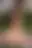 @theysaidnothing.bsky.social background blur