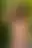 @theysaidnothing.bsky.social background blur