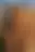 @theysaidnothing.bsky.social background blur