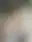 @theysaidnothing.bsky.social background blur