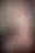 @theysaidnothing.bsky.social background blur