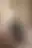 @sexyaidreams.bsky.social background blur