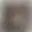 @sexyaidreams.bsky.social background blur