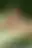 @pussyseeker.bsky.social background blur
