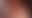 @artfulltodger.bsky.social background blur