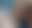@artfulltodger.bsky.social background blur