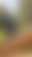 @hhille.bsky.social background blur