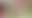 @tasha510.bsky.social background blur