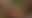 @thepriapicknave.bsky.social background blur