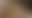 @thepriapicknave.bsky.social background blur